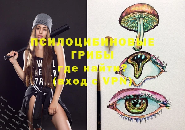 не бодяженный Горно-Алтайск