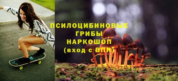 spice Белокуриха