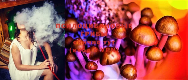 spice Белокуриха