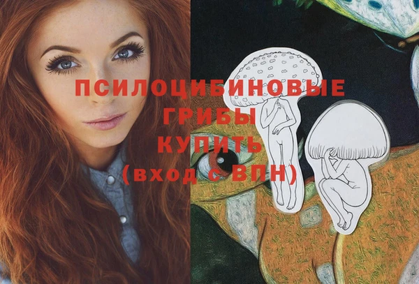 spice Белокуриха