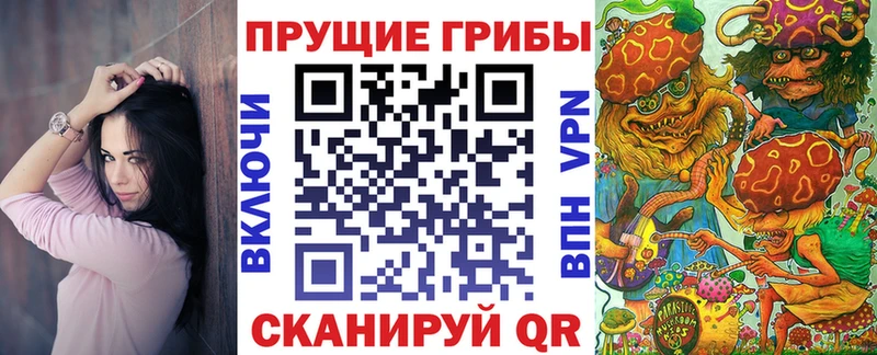Псилоцибиновые грибы Cubensis  Будённовск 